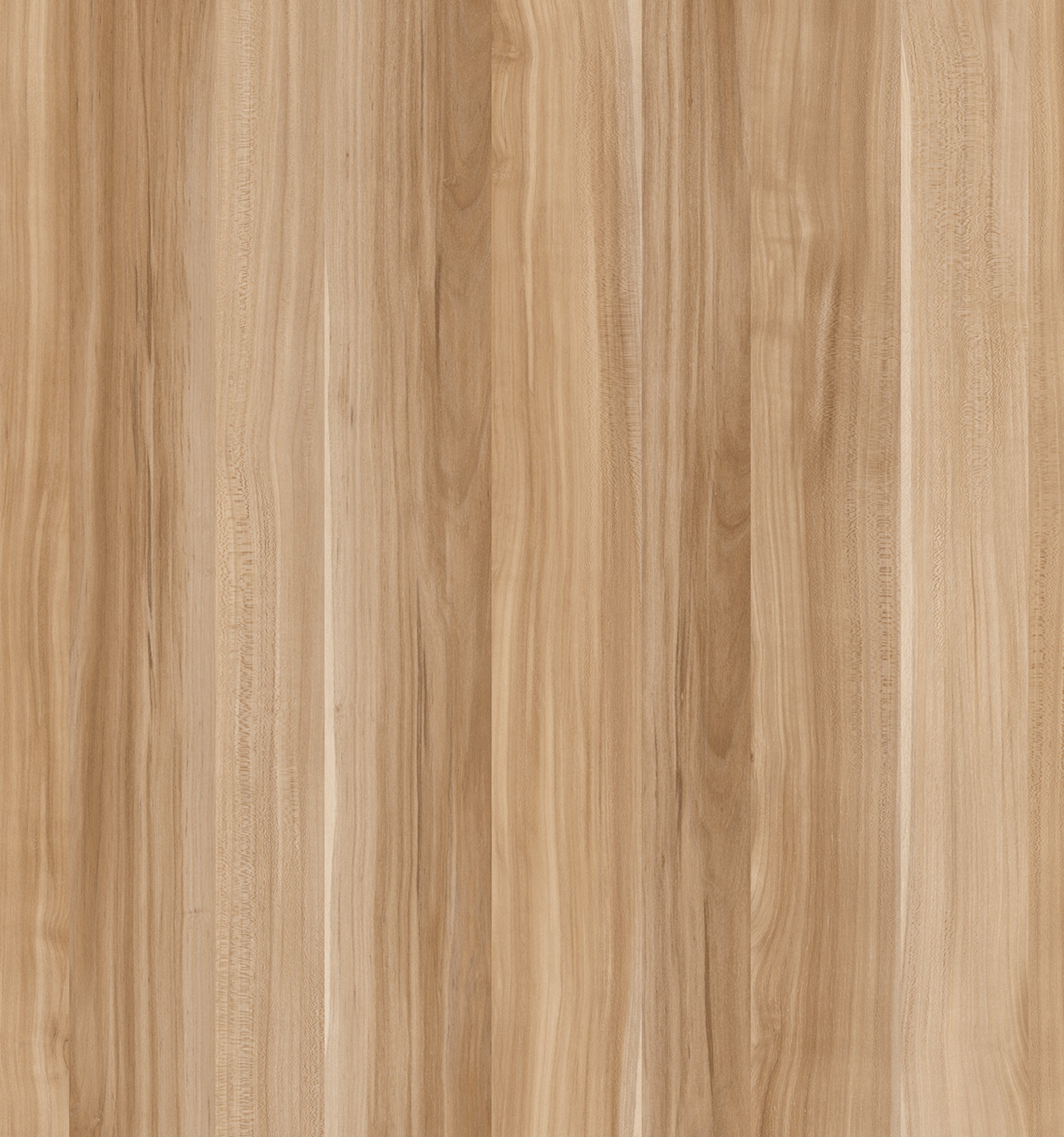 Plum Natural 60 CM Isotop Plus® Table Top