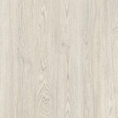 White Butternut Wood 70 CM Isotop Plus® Table Top